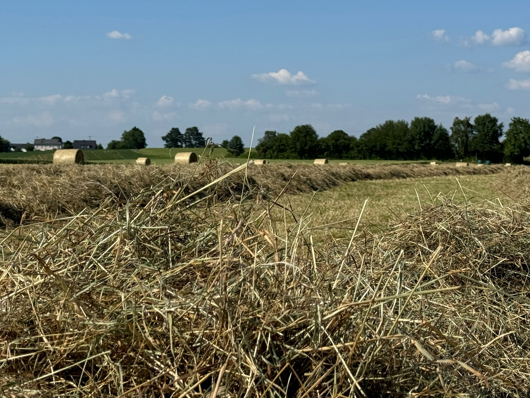 Eigenproduziertes Futter